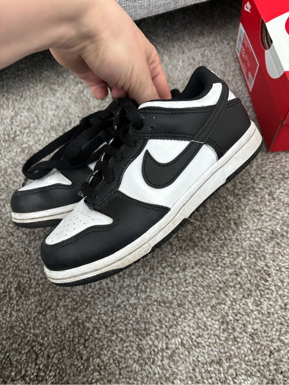 Kid’s Nike Dunk Low (PS)